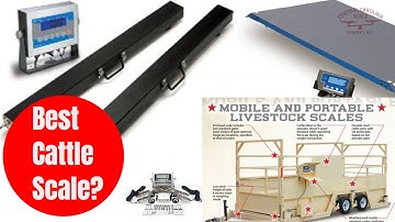 What are the Best Cattle Scales?