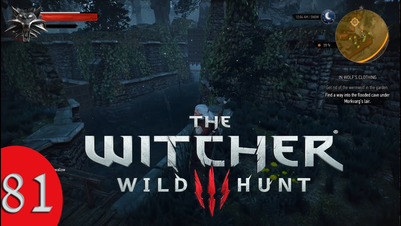 Witcher 3 - In Wolf's Clothing (Part 81)