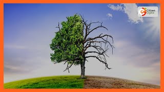 DAY BREAK | Climate change action plan (Part 1)