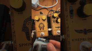 Thick creamy germanium fuzz. Sphinx Face. #guitarpedals #fuzzpedals #fender #guitarsound #guitar