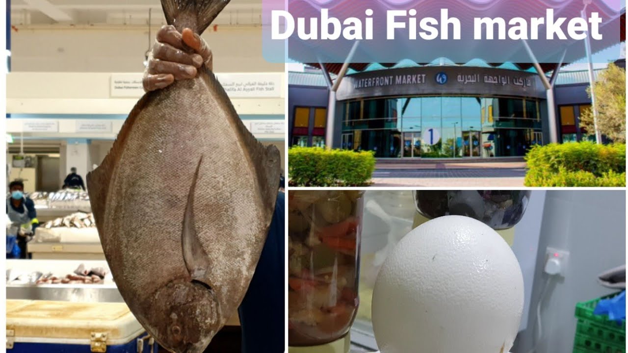 water front fish market Dubai Dubai Fish Market Deira Fish Market