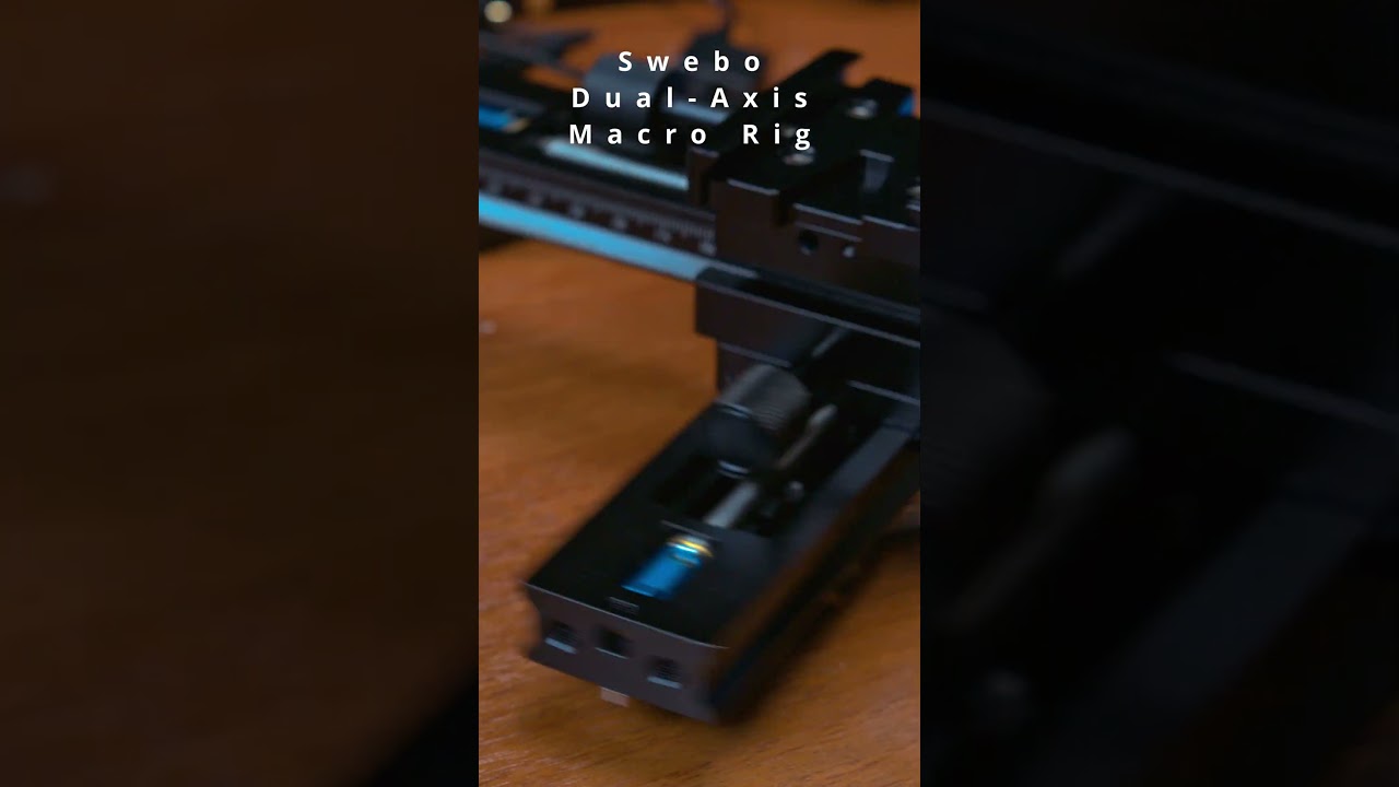 15x Ultra-Macro: Wildlife in Motion 🎬