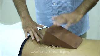 Lumbar Spine Localization Techniques