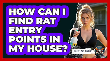 How Can I Find Rat Entry Points In My House? - Insects and Invaders