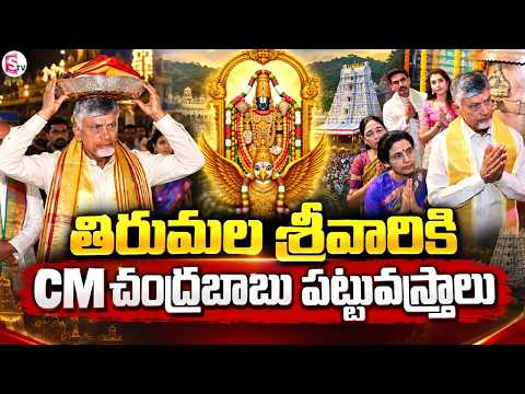తిరుమల శ్రీవారికి CM చంద్రబాబు పట్టువస్త్రాలు | Chandrababu Naidu Tirumala Visit |⁨@SumanTV-Voice⁩