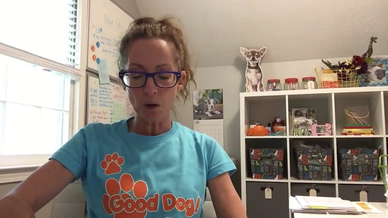 Training Tip Tuesday 3 Q&A Potty Training & Stopping Jumping YouTube