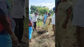tree planting #news #lifeisbutadream