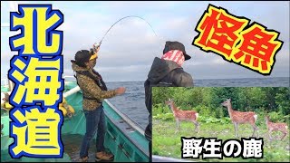 北海道の海でオオカミのような魚を狙う！！#1
