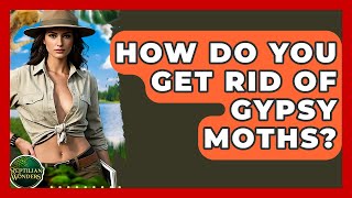 How Do You Get Rid Of Gypsy Moths? - Reptilian Wonders