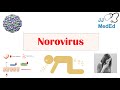 Norovirus Norwalk Virus  Transmission Pathogenesis Symptoms Prevention