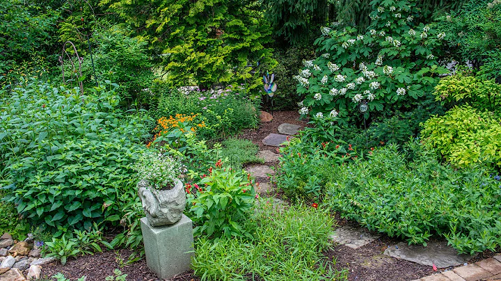 EcoBeneficial Interview: Solving Stormwater Issues...