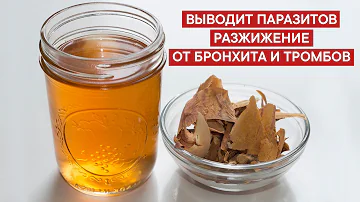 Кора обычной ... останавливает развитие тромбов, выводит паразиты и незаменим при бронхите