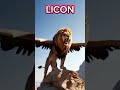 Licon - Lion and Falcon Hybrid  #Short #AI #Fusion #Hybrid