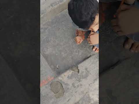 #for #you #subscribe #shortvideo