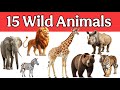 Wild Animals Name in English | Animals Vocabulary with Pictures for Kids |Wild Animals Names#animals