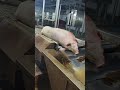 二師兄泡澡了