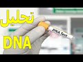 تحليل DNA ماذا تعرف عنه لماذا نلجأ له تحليل DNA ماذا تعرف عنه لماذا نلجأ له