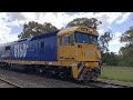 Pacific National 8160 8124 Loaded grain train at Spring Ridge 29-10-2021