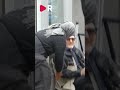 Romsk tiggare: Skaffa ett jobb! - Riks granskar tiggeriet i Stockholm