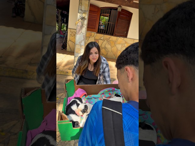 Uma família fora do normal 🤪 ep. “ Era pra ser só um cachorrinho…”