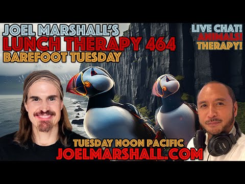 Puffins Being Cute Clown Penguins - Barefoot Tuesday - JMLT464