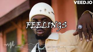 [FREE] Emotional Black Sheriff Type Beat 2024 -  Feelings