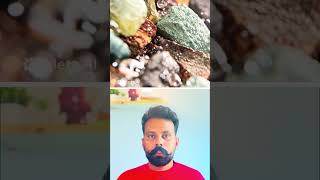 Why is Ocean Water Salty? 🌊🧂 |Explained In Punjabi #facts #punjabivlog
