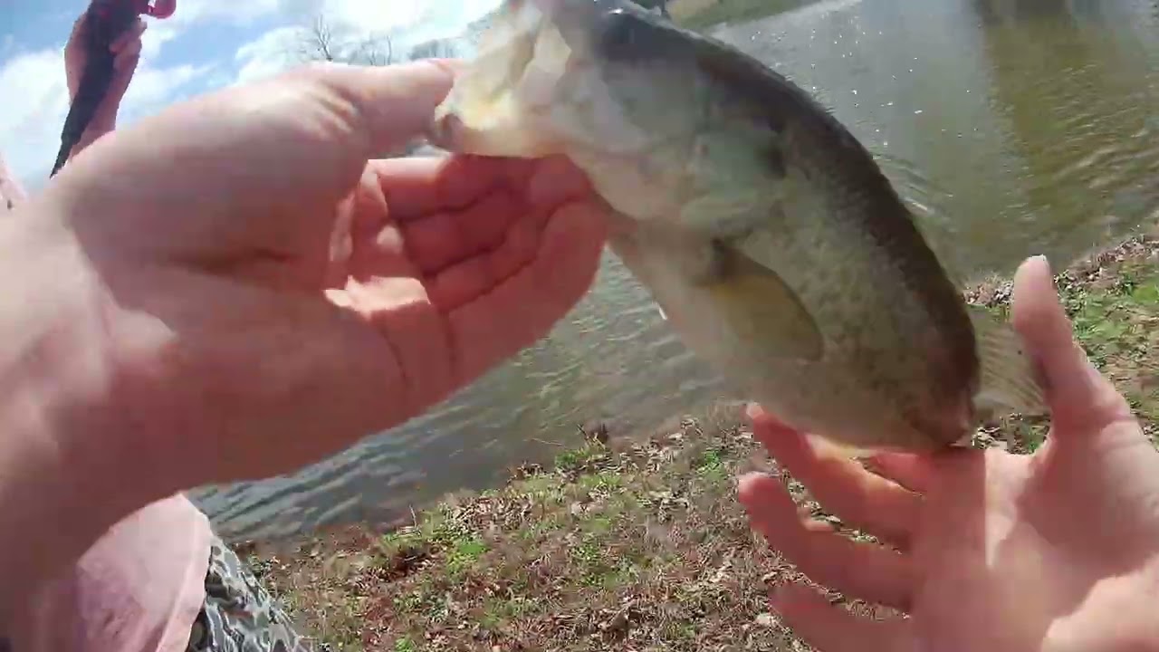 Bass fishing a loaded pond (watch til the end)