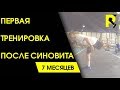 Синовит. Первая тренировка. Реабилитация после разрыва связок ПКС. 18+