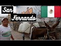 Exploring the random town of SAN FERNANDO, CHIAPAS | Mexico travel vlog