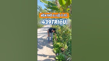 NỀN THỔ CƯ LỘ Ô TÔ CÁCH CHỢ 500m 439 Triệu #linhcantho #bdscantho #bds