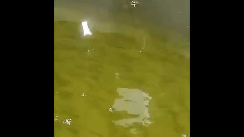 Option Dissolved oxygen sensor in a fish pond to measure the dissolved oxygen content