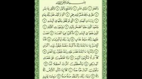 تلاوة مؤثرة ومبكيه من سوره الفجر ناصر القطامي