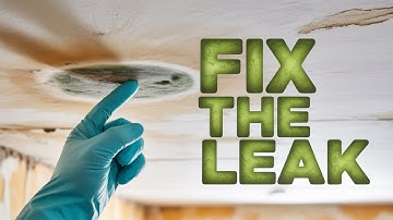 #3 Mold Control  Stop Moisture, Prevent Hidden Mold!