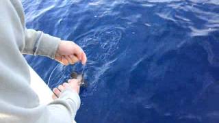 Στηρα Στη Καθετη