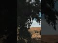 في حدا بدنا يا ما عم نقدر ننسا لو شو ما عمل فينا في حدا بدنا يا ما عم نقدر ننسا لو شو ما عمل فينا
