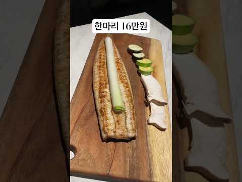 오동통한 갯벌장어 ! #비싸지만 #맛있는 #장어 #shortvideo #오늘뭐먹지