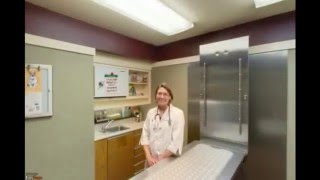 Veterinary Clinic Chico CA | CALL: 530-413-7624