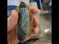 コウマビーチ ペブル タオンガ 