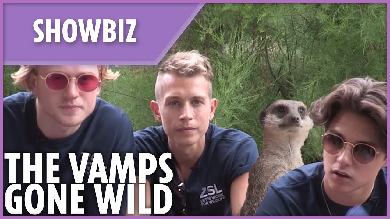 The Vamps gone wild at the zoo!