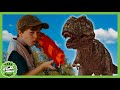 Will Park Ranger LB Get The Dinosaur? | T-Rex Ranch Dinosaur Videos for Kids