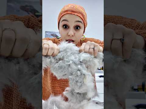 Herkes Kedi Sahiplenmemeli! İşte Sebebi…