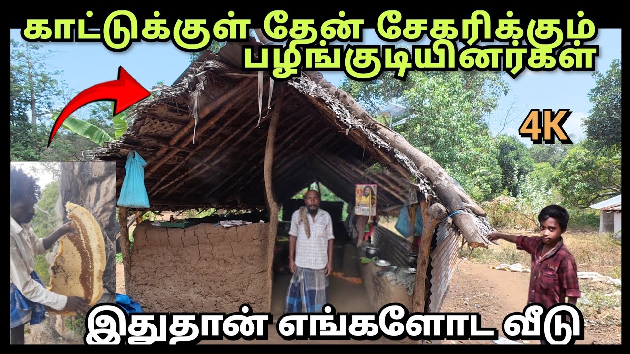 காட்டுக்குள் தேன் எடுப்பதில் இவ்வளவு கஷ்டமா |பழங்குடியினரின் வாழ்க்கை 💯 Part - 1 #tribal #honey