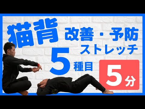 【 毎日５分】 猫背改善・予防ストレッチ５種 【姿勢改善】