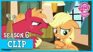 Applejack's Lies (Where The Apple Lies) | MLP: FiM [HD]