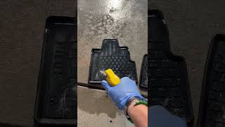 Satisfying Honda Pilot floor mat cleaning