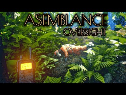 Asemblance Oversight - Смотрим что за зверь такой.