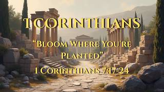 “Bloom Where You're Planted”- 1 Corinthians 7:17-24 | Dick Bickings | May 31, 2026
