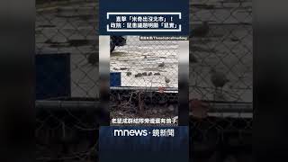 台灣鼠患問題