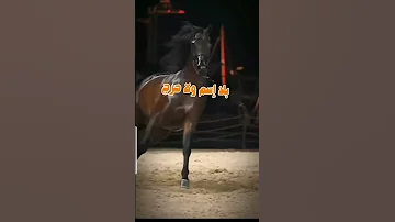 عليل يشتفي بالبوح حيناا 